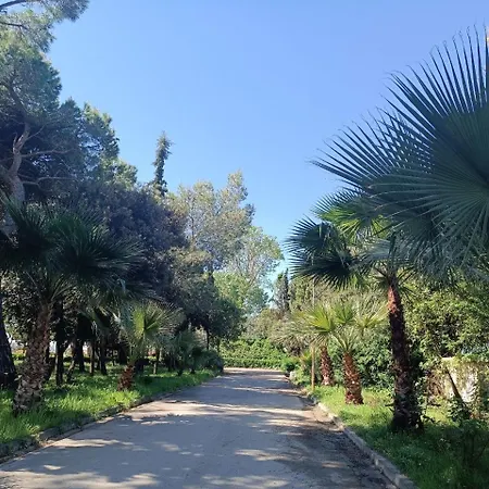 Faina Durres