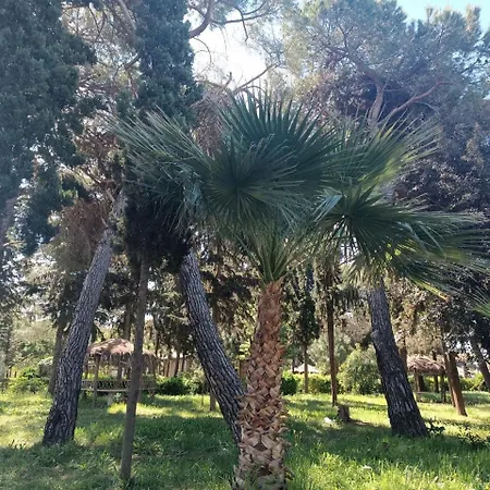 Apartment Faina Durres